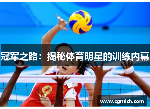 冠军之路:揭秘体育明星的训练内幕 冠军之路:揭秘体育明星的训练内幕